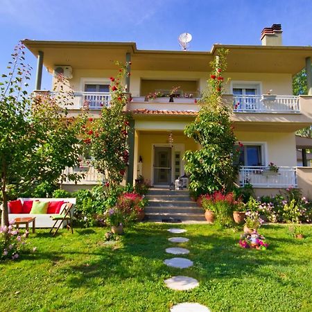 Angel Villa - Thassos Town エクステリア 写真